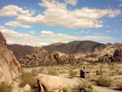 Joshua Tree National Park
