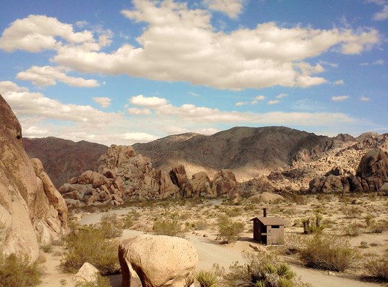 Joshua Tree National Park