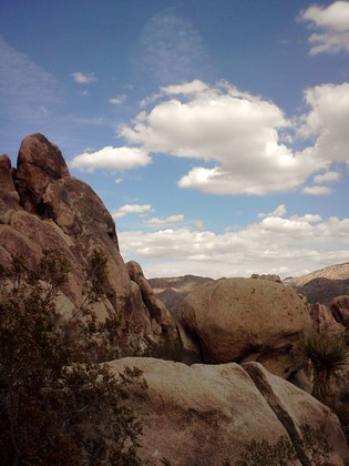 Joshua Tree National Park