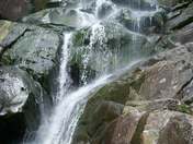 Great Smokey Mountains National Park