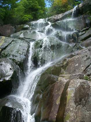 Great Smokey Mountains National Park