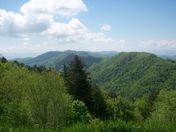 Great Smokey Mountains National Park