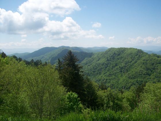 Great Smokey Mountains National Park