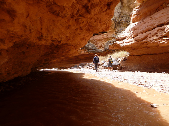 Capitol Reef National Park
