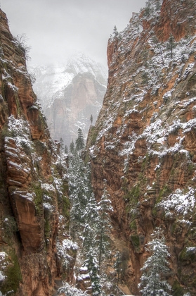 Zion National Park