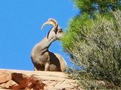 Bryce Canyon Natl Park