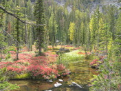 Baker Lake 