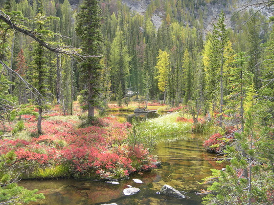 Baker Lake 