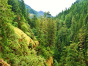 Columbia River Gorge National Scenic Area