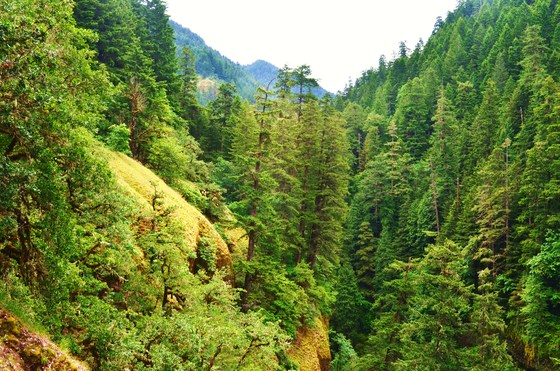 Columbia River Gorge National Scenic Area
