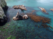 Channel Islands National Park