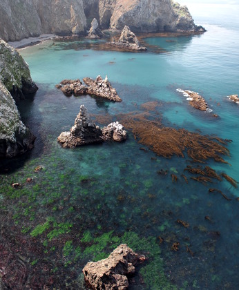 Channel Islands National Park