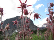Glacier National Park