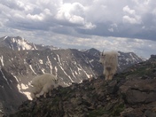 Mt. Quandary
