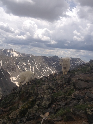Mt. Quandary