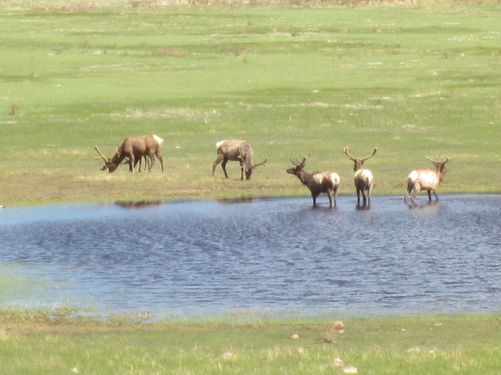 Rocky Mountain National Park