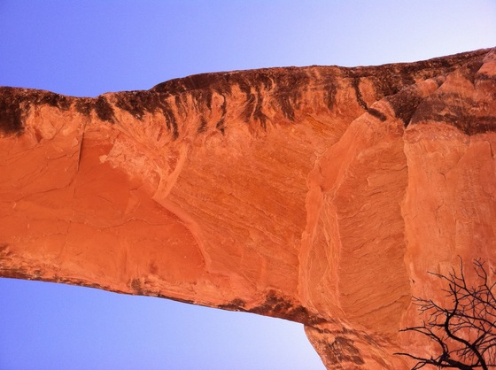 Natural Bridges National Monument