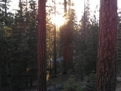 yosemie national park