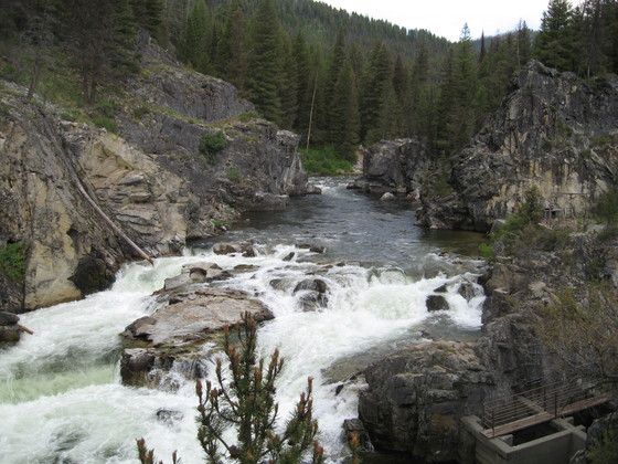 Middle Fork of Salmon