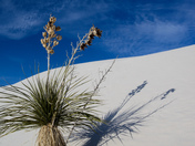 White Sands NM