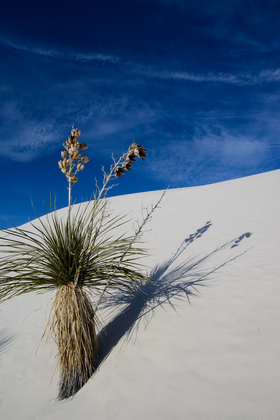 White Sands NM
