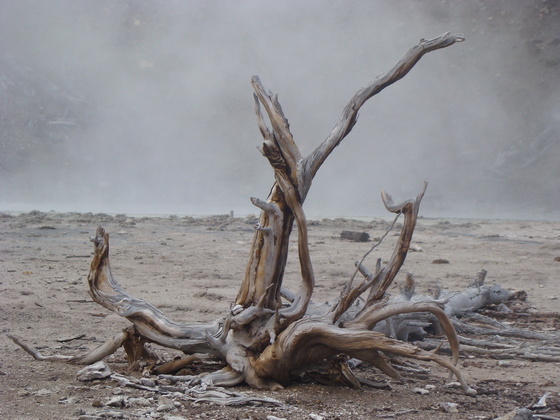 Yellowstone National Park