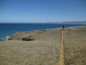 Channel Islands National Park