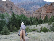 Shoshone National Forest