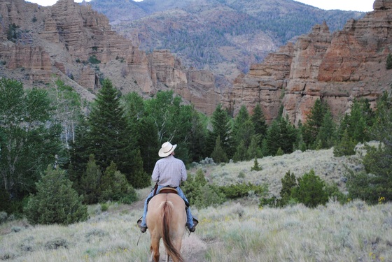 Shoshone National Forest