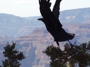 Grand Canyon National Park