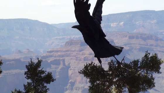 Grand Canyon National Park