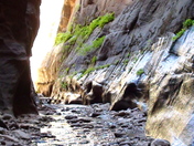 Zion National Park