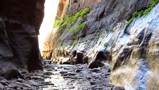 Zion National Park