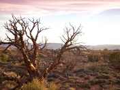 Arches National Parck