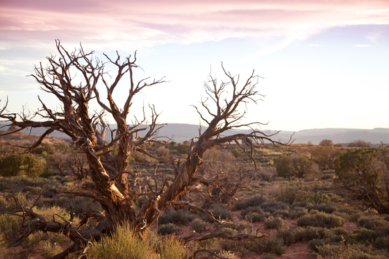 Arches National Parck