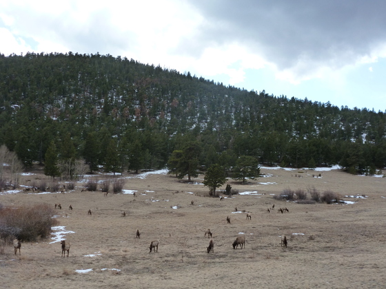 Rocky Mountain National park