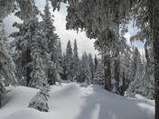 Olympic National Park
