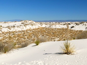 White Sands