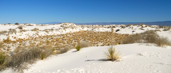 White Sands