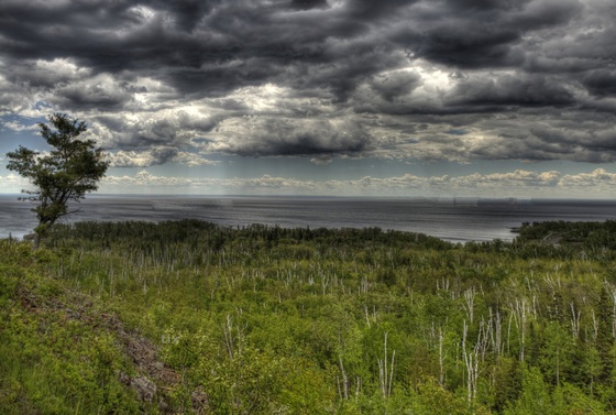 Superior National Forests 