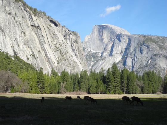 Yosemite
