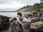 Olympic National Park