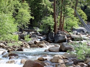 Yosemite National Park