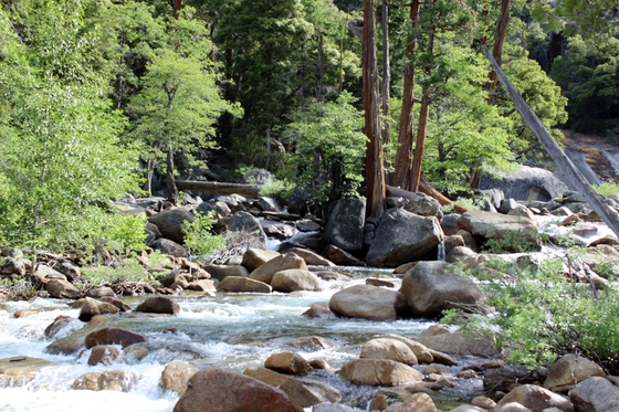Yosemite National Park