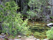 Yosemite National Park