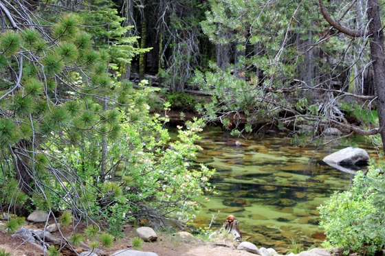 Yosemite National Park