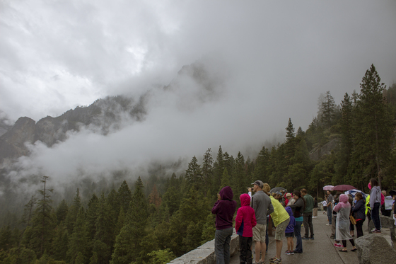 Yosemite National Park