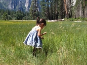 Yosemite National Park