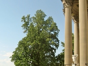 Vanderbilt Mansion