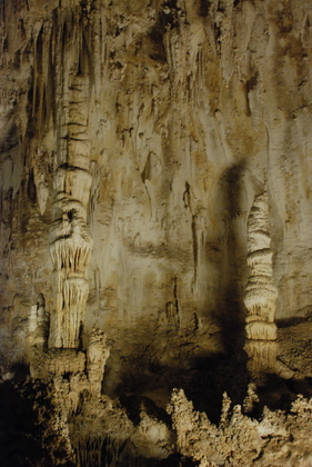CARLSBAD CAVERNS NAT'L PARK